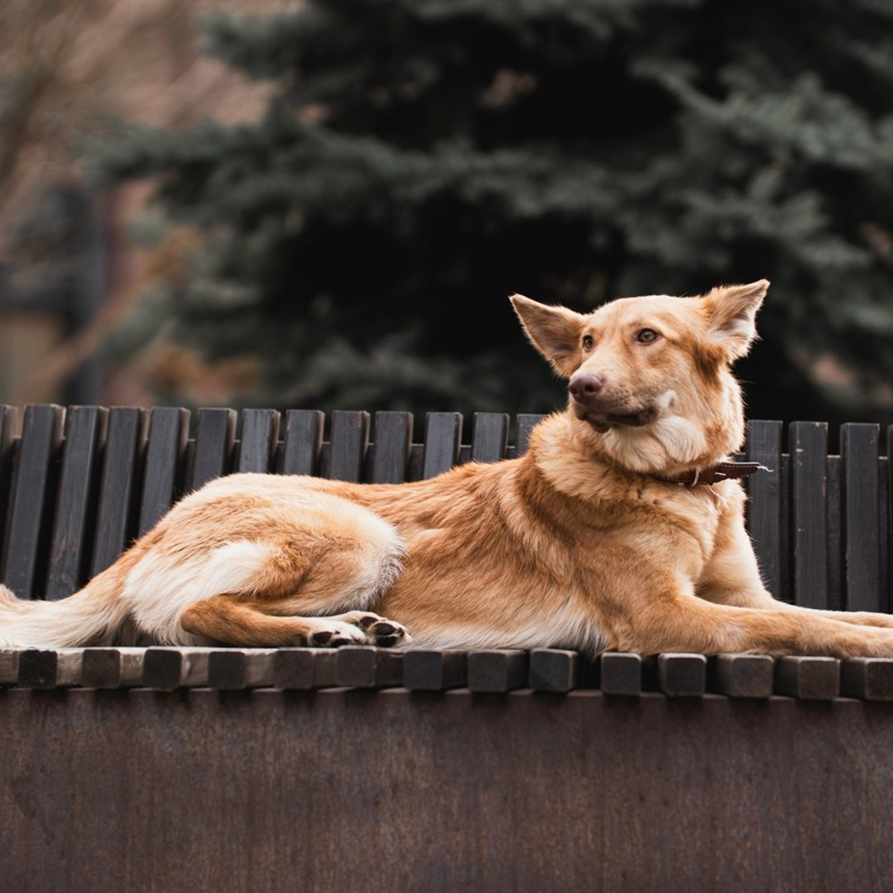 Отзывы. Фотограф SHION