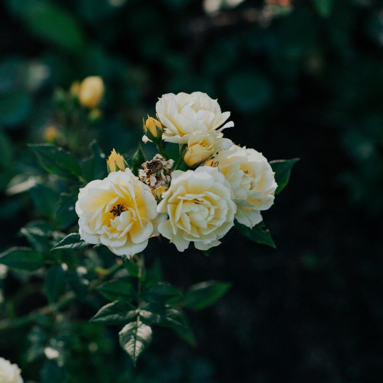 Отзывы. Портретный и лайфстайл фотограф в Санкт-Петербурге