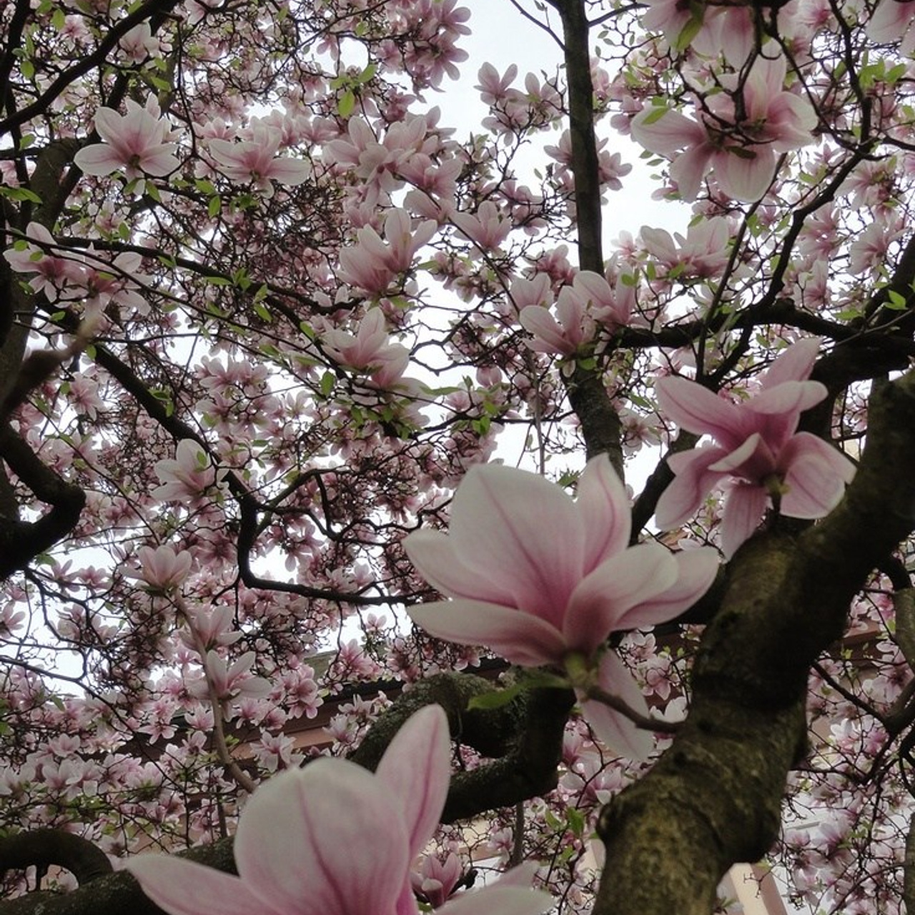 Отзывы. Выпускные альбомы. Школьный фотограф в Волгограде