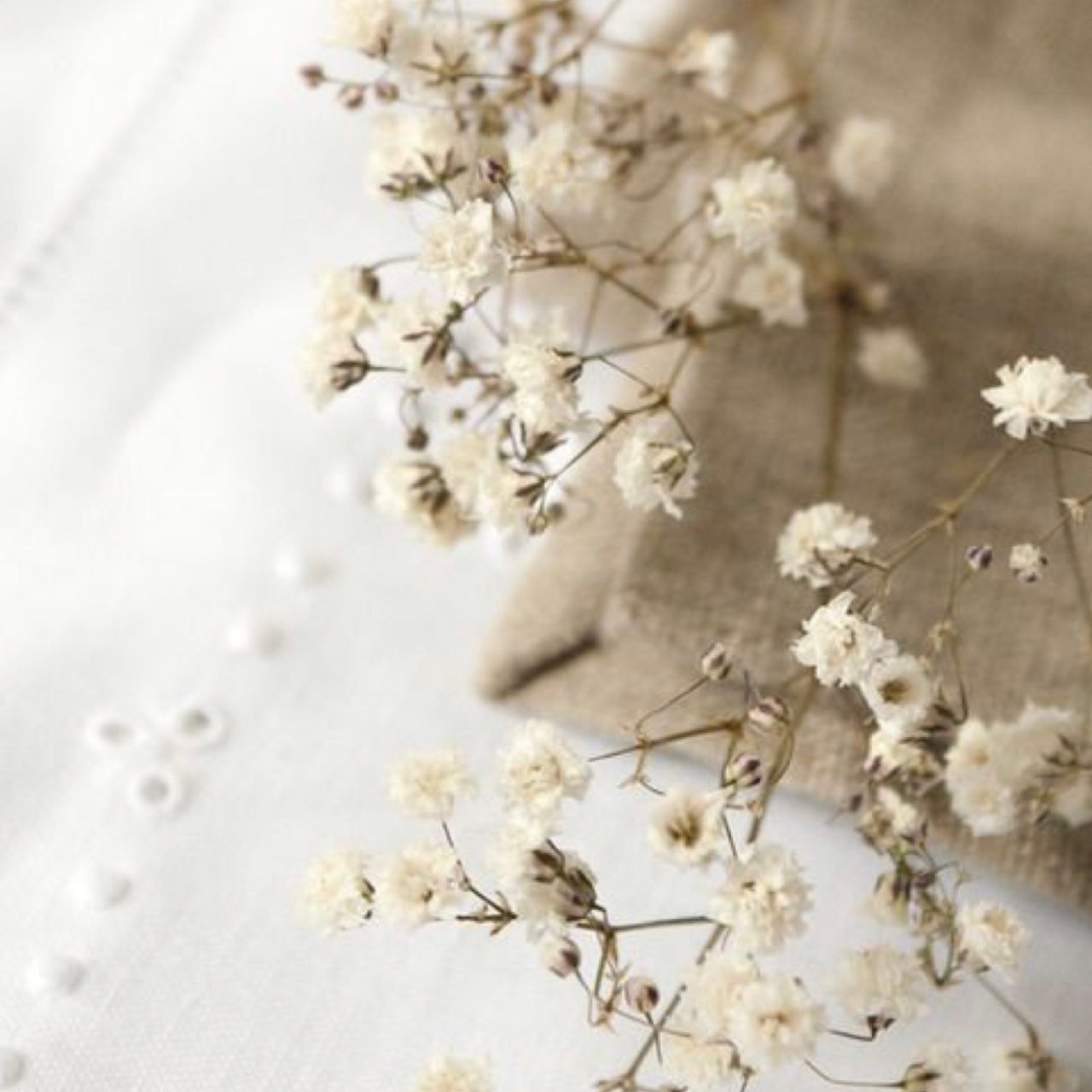 Отзывы. Свадебный и семейный фотограф в Новосибирске Ирина Дорошкова