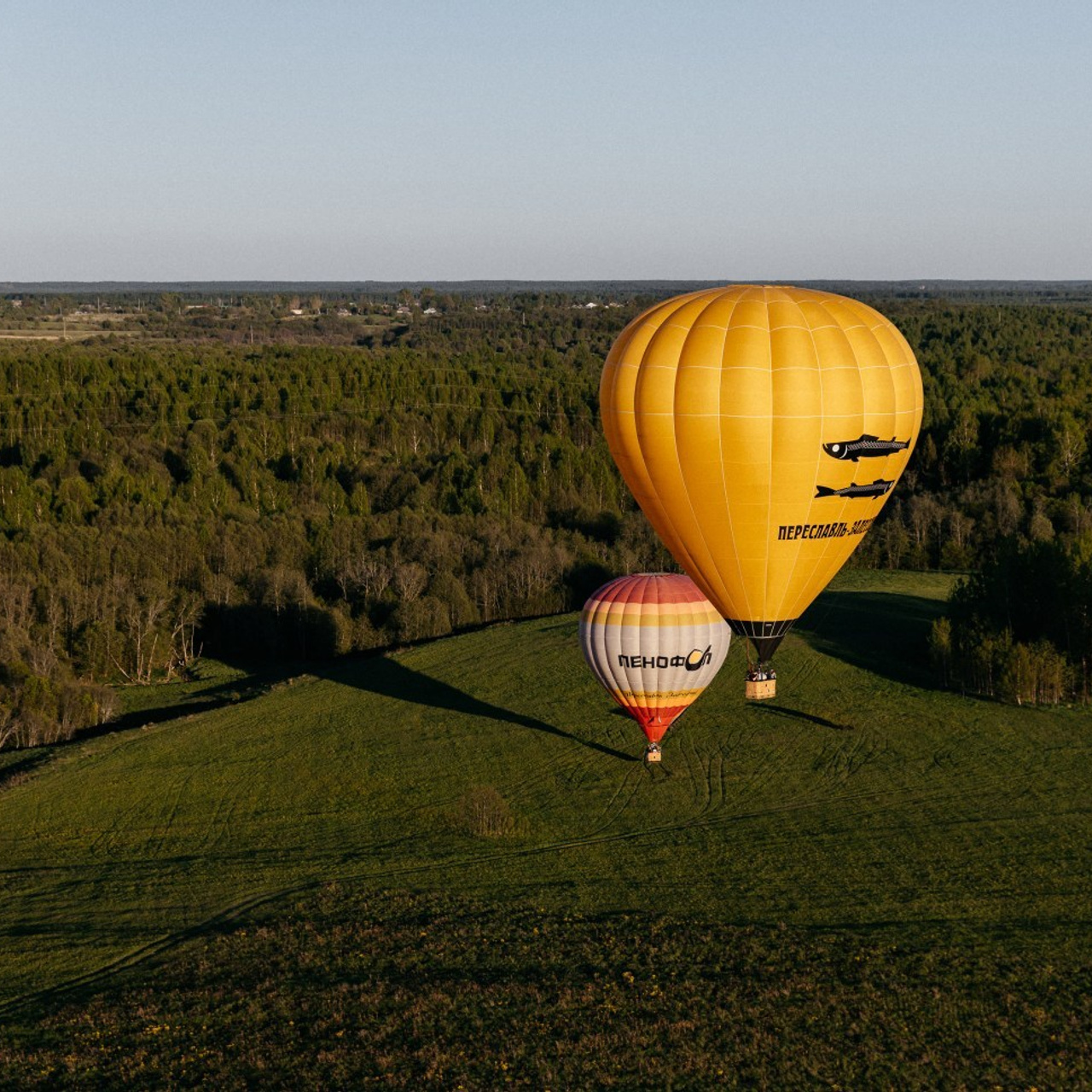Отзывы свадебного фотографа. Свадебный фотограф Дмитрий Воробьев Ярославль