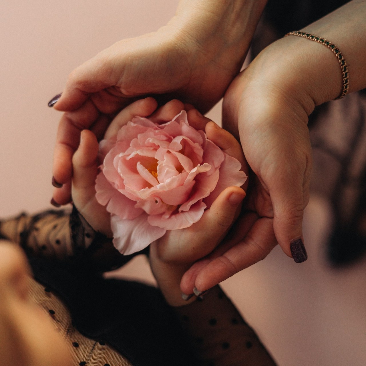 ОТЗЫВЫ. Семейный фотограф Даша Погорелова г. Богучар