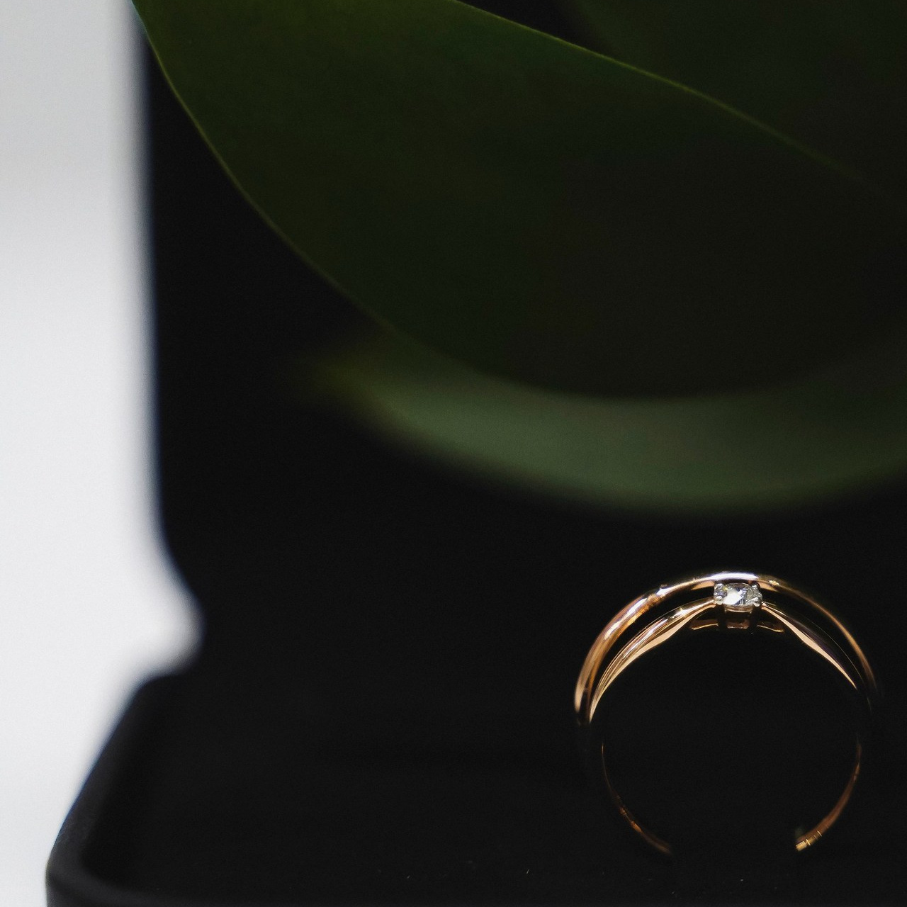 Отзывы. Фотохудожница Мария Лырщикова