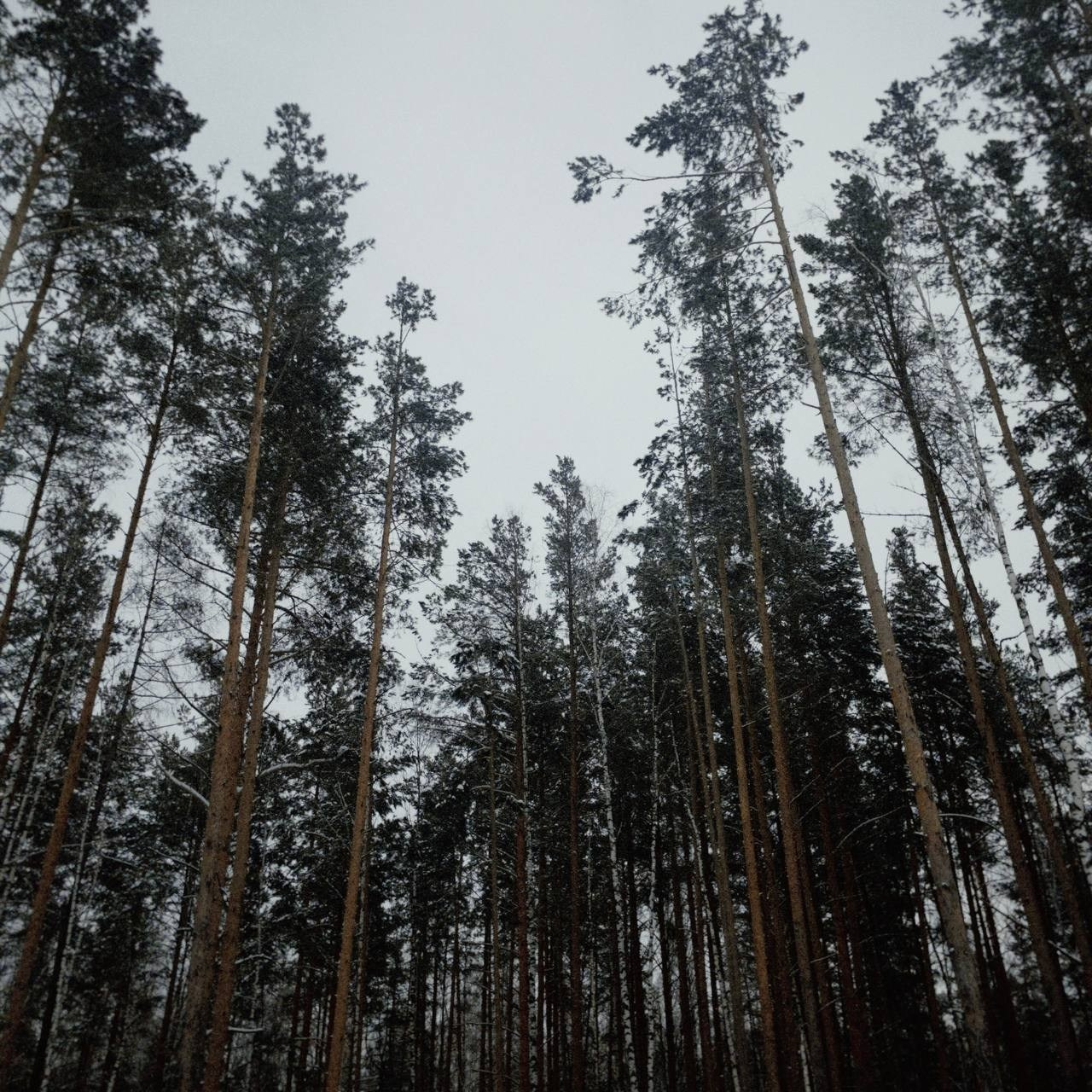 Выходные. Портретный фотограф | Олеся Комарова | Екатеринбург