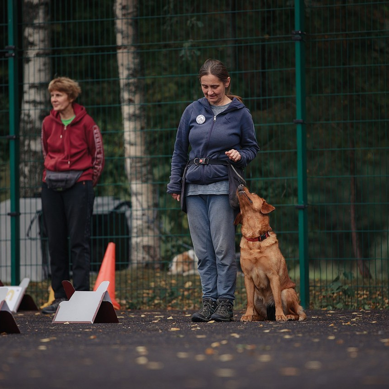 Отзывы. Фотограф-анималист Mary Mart — Москва, Питер