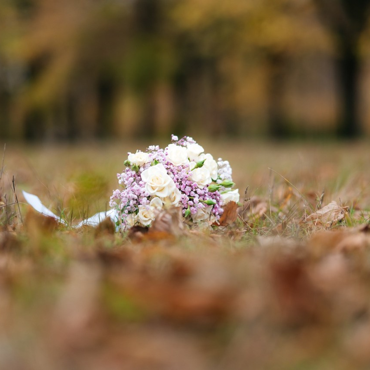 Отзывы. Свадебный фотограф и видеограф Жанна и Ренат Костандян, Ставрополь