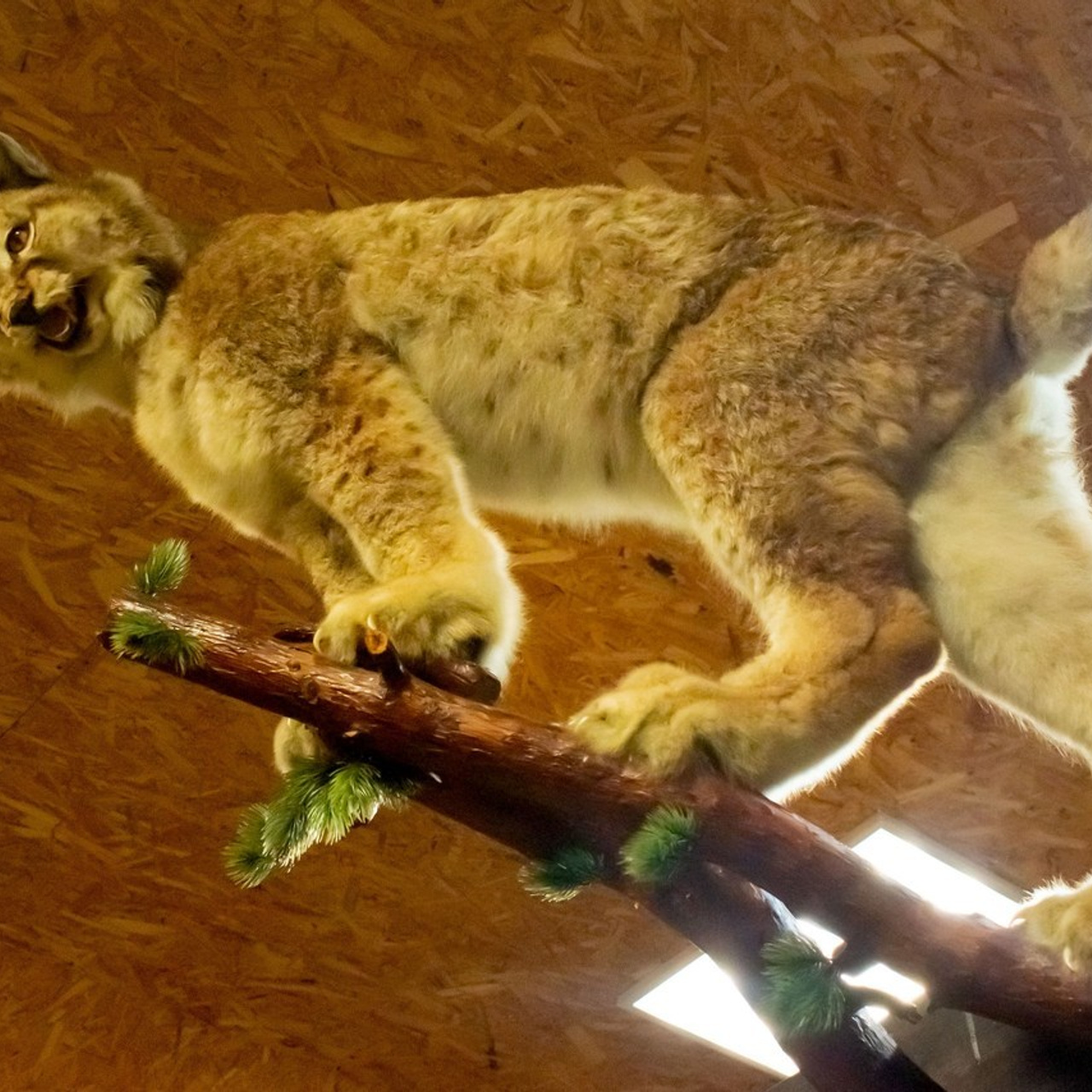 Отзывы. Семейный и детский фотограф в Екатеринбурге Нина Щапова