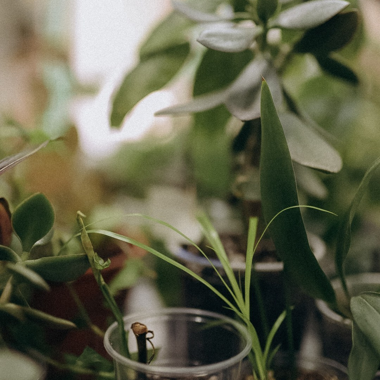 Отзывы. Фотограф Ижевск Старкова Аня