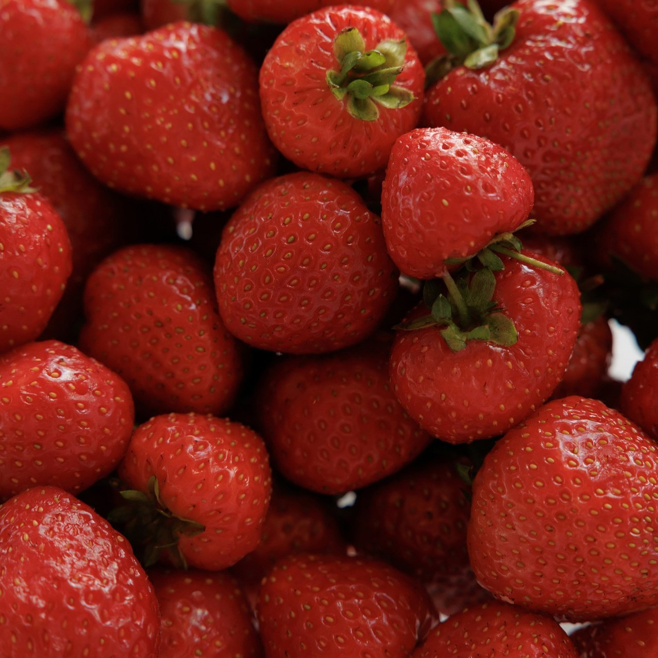 Отзывы клиентов. Свадебный фотограф Калининград