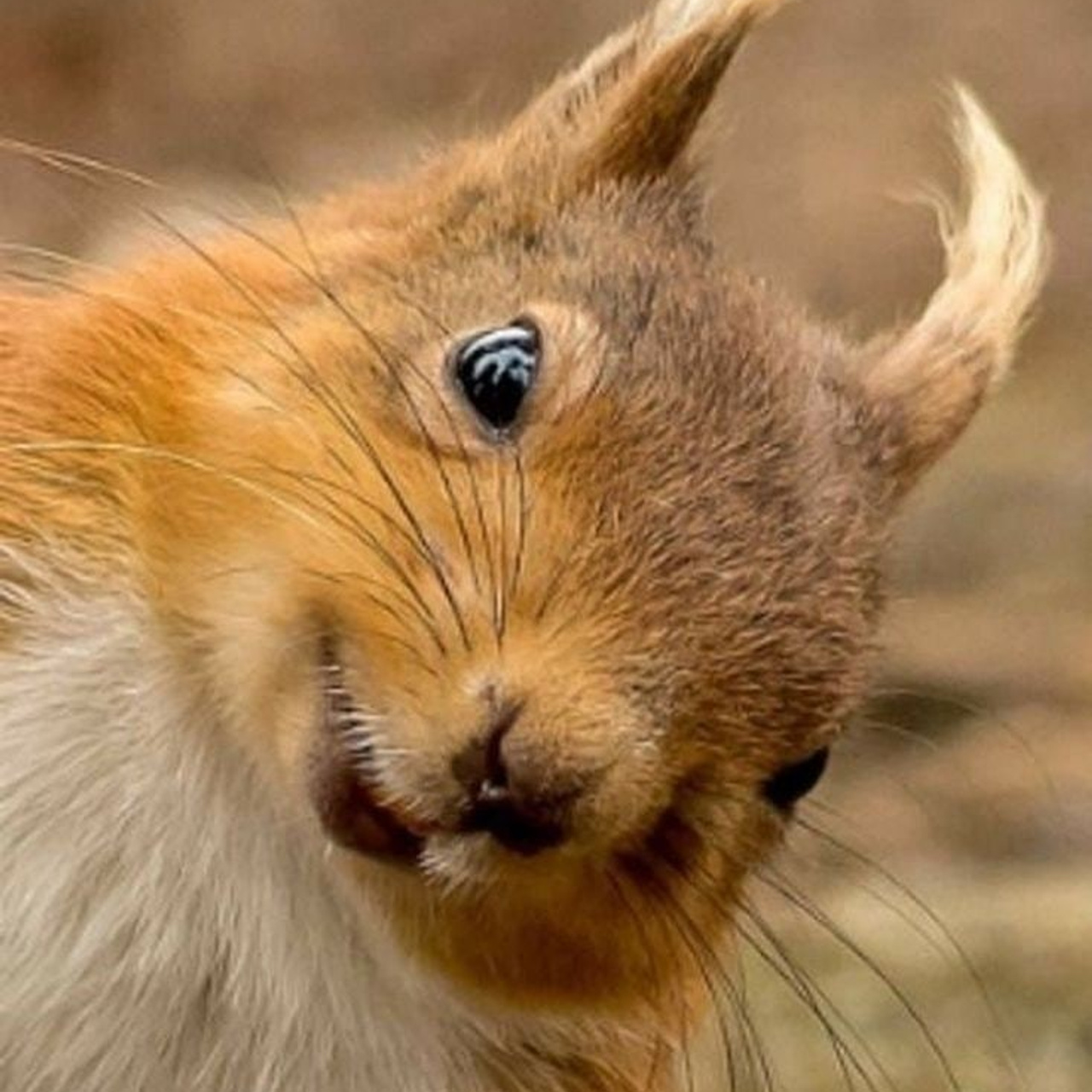 Отзывы. Фотограф на свадьбу в С-Пб Борис Большой