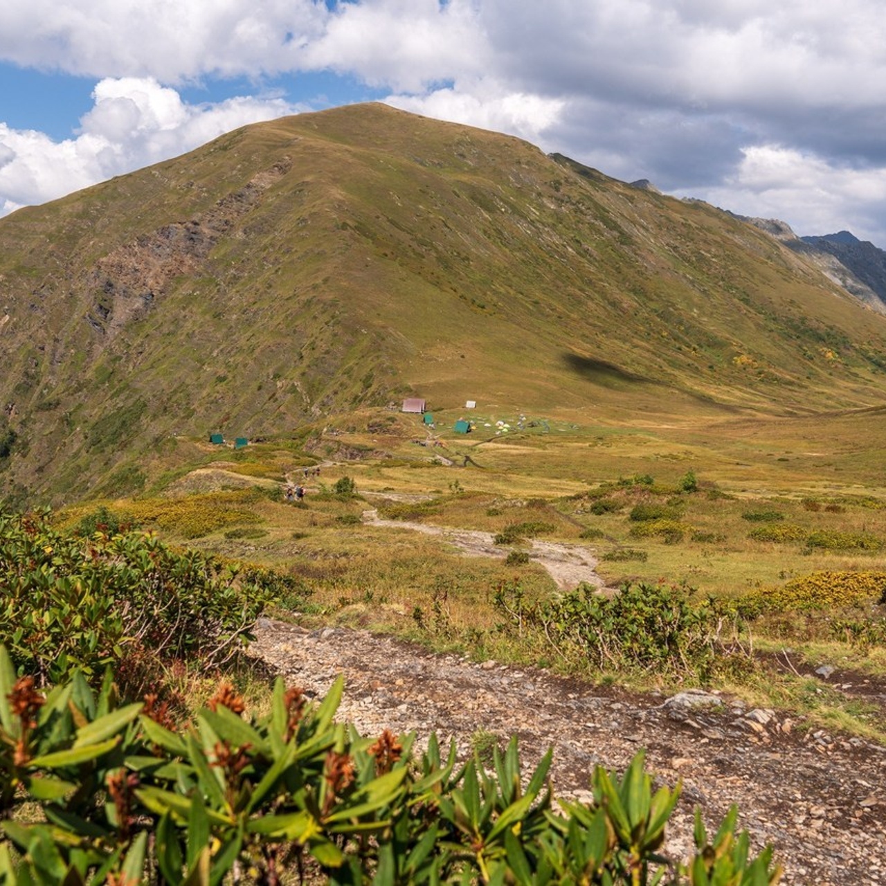 Отзывы. Репортажный фотограф в Красной Поляне и Сочи Павлюченко Екатерина