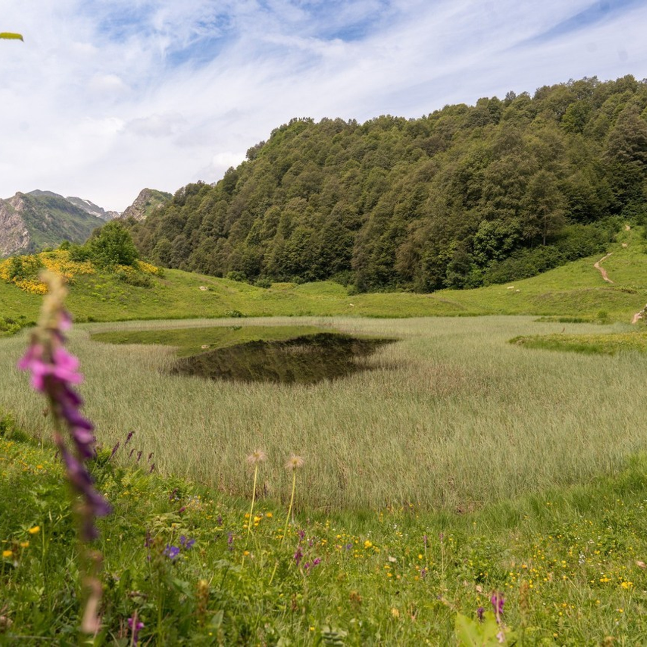 Отзывы. Репортажный фотограф в Красной Поляне и Сочи Павлюченко Екатерина