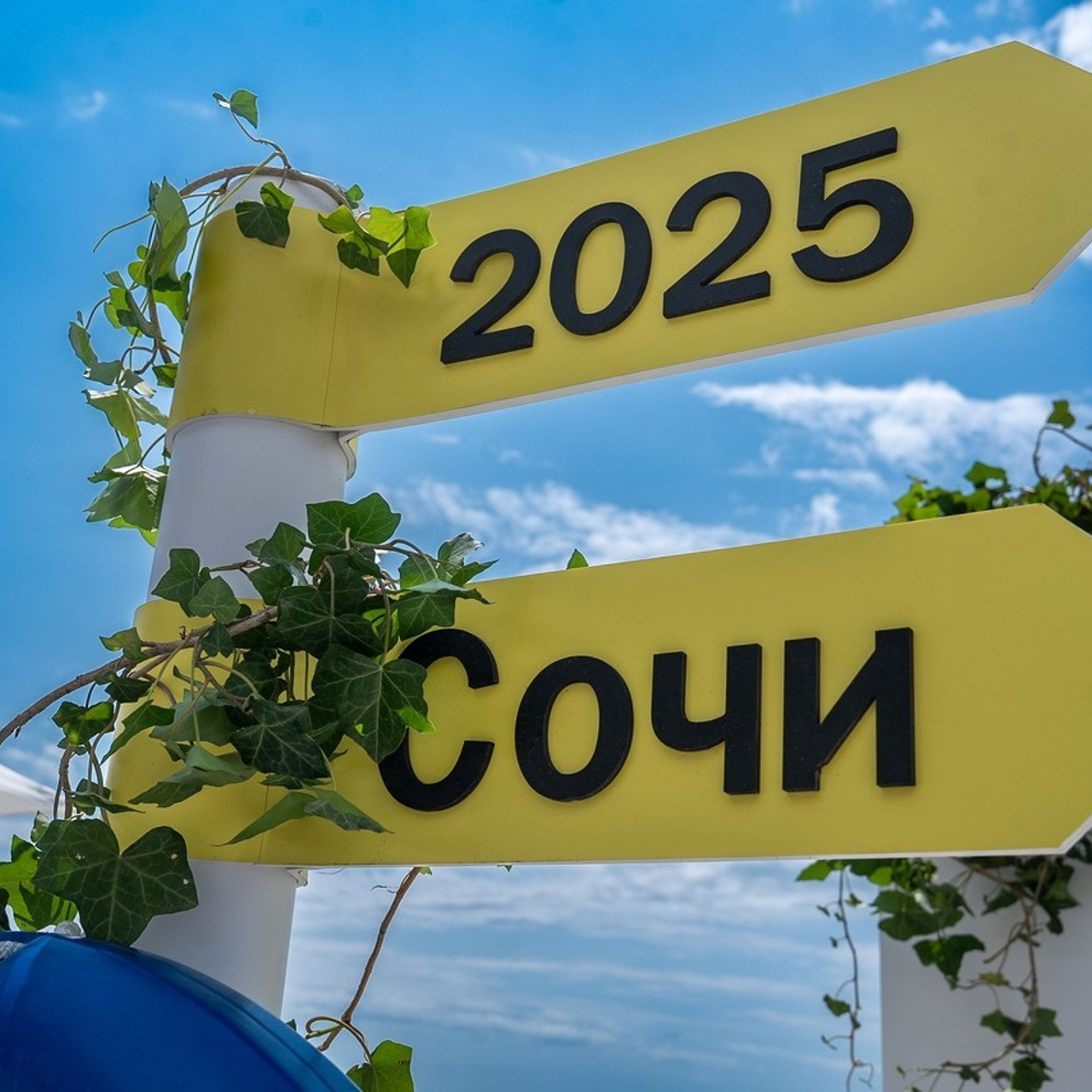 Отзывы. Репортажный фотограф в Красной Поляне и Сочи Павлюченко Екатерина