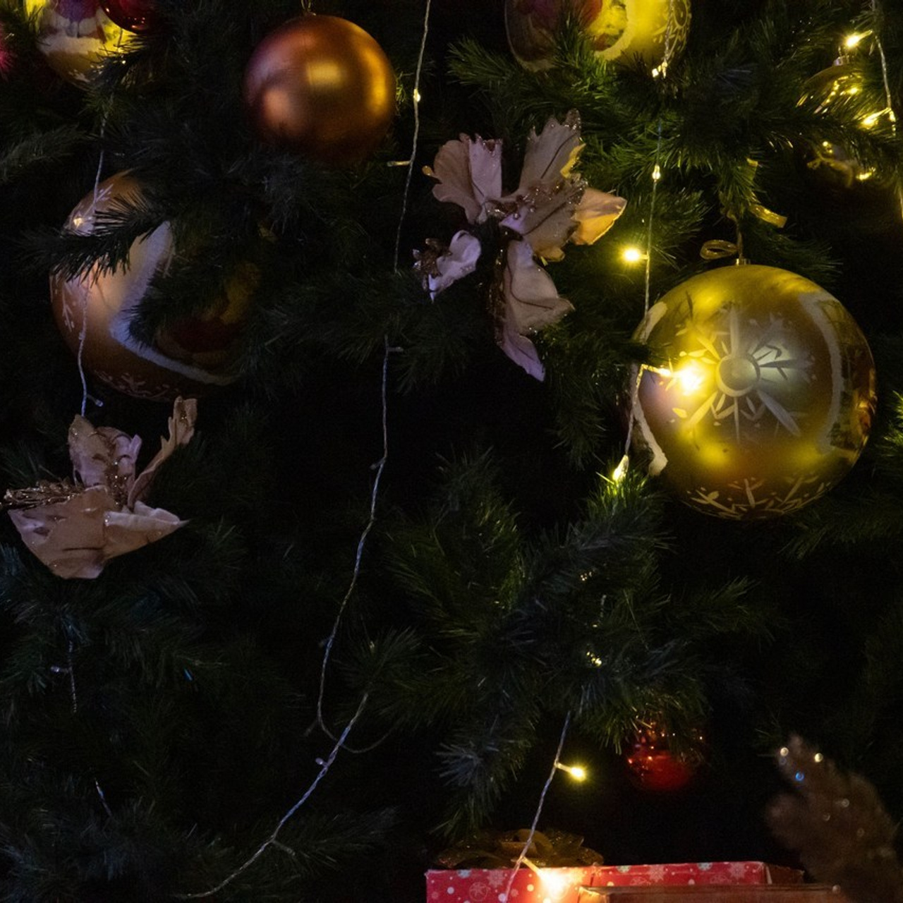 Отзывы. Фотограф и видеооператор Кривов Павел