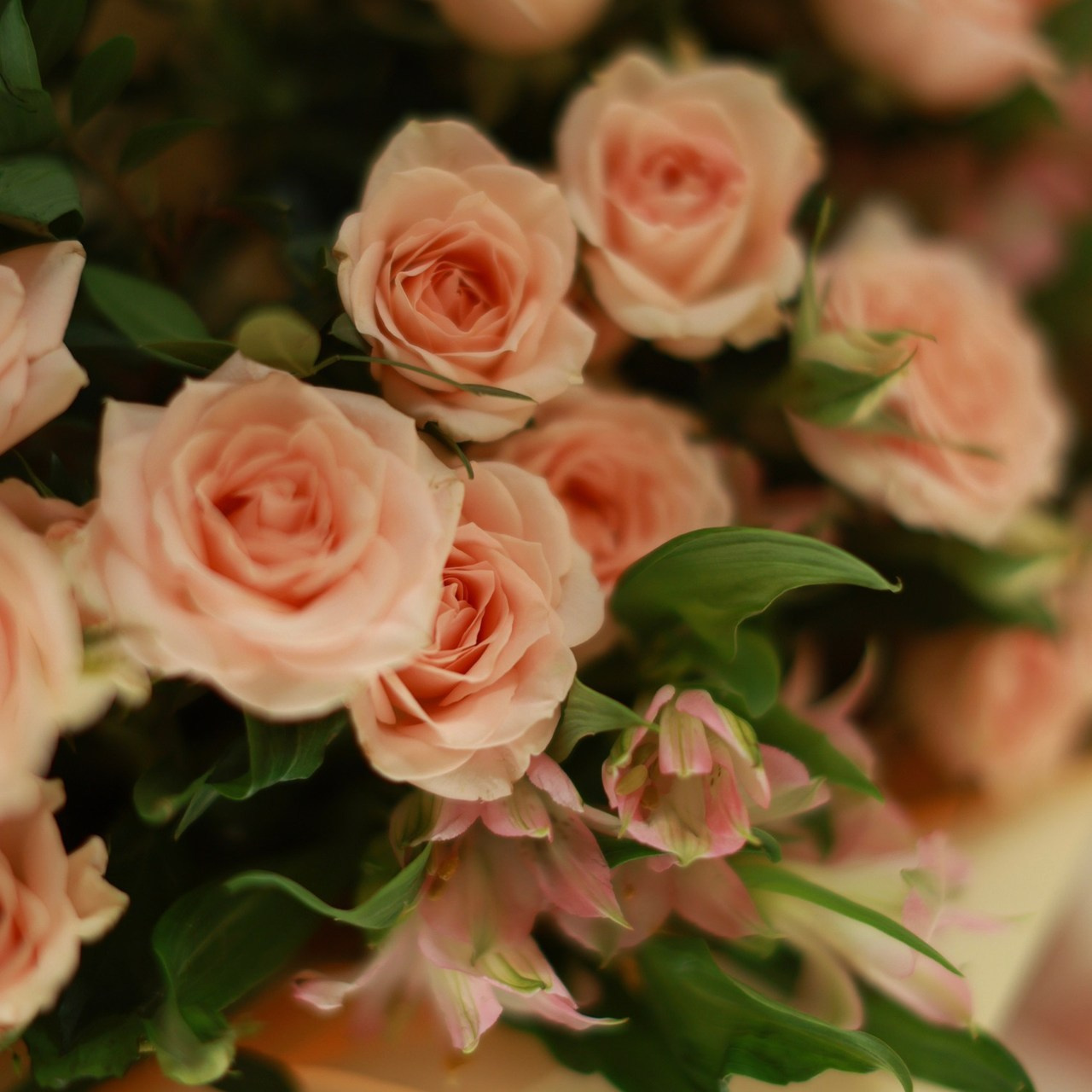 Отзывы. Портретный и свадебный фотограф в Туле