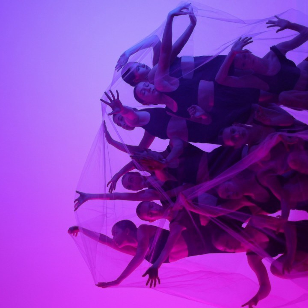 Отзывы. Портретный и свадебный фотограф в Туле