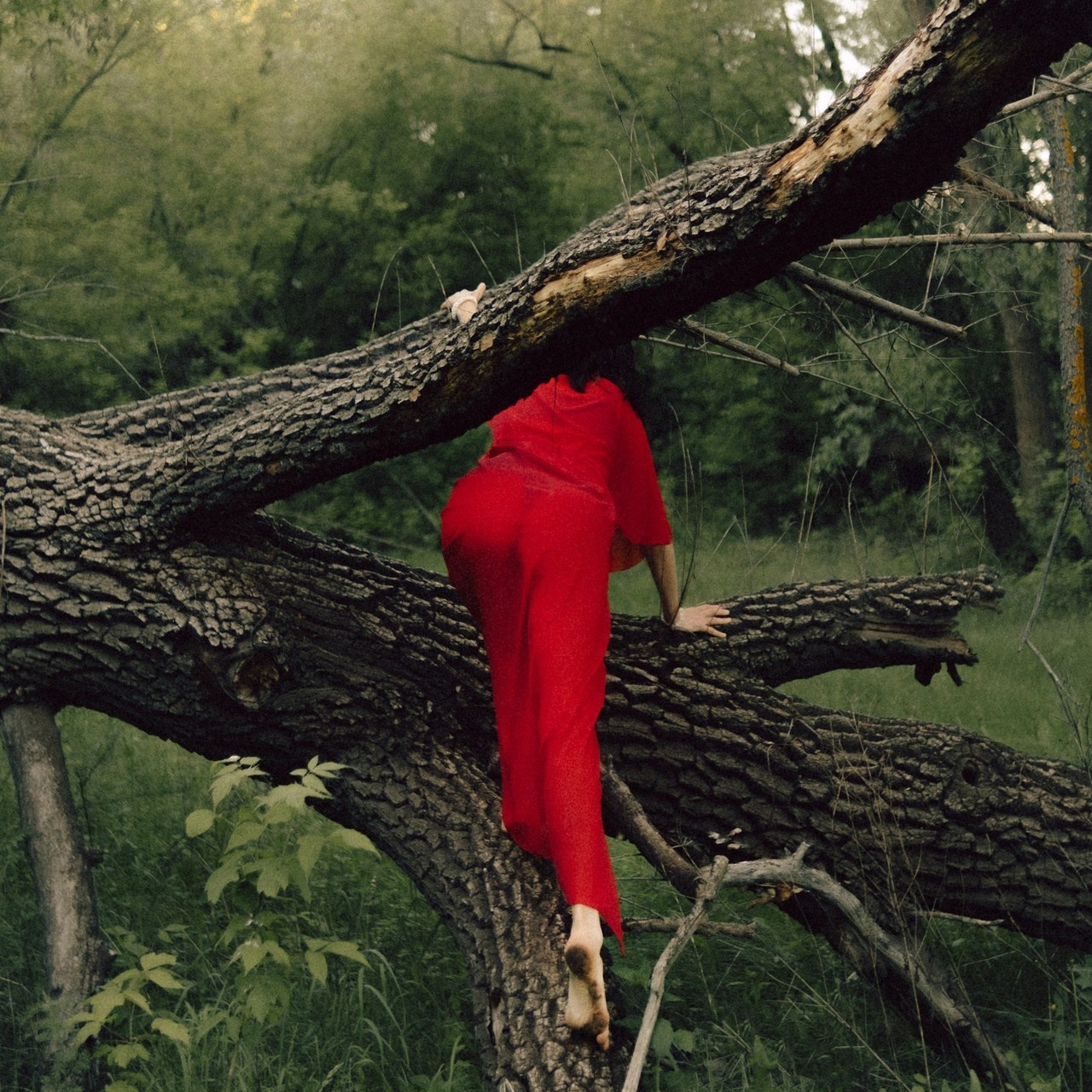 Отзывы. Фотограф Ксения Дзюбак Самара-Москва