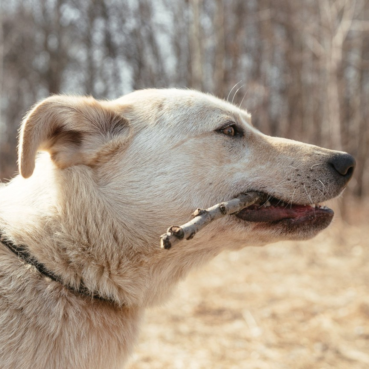 Отзывы клиентов о работе фотографа Дарьи Едапиной | Фотосессии в Новосибирске. Фотограф Дарья Едапина Новосибирск
