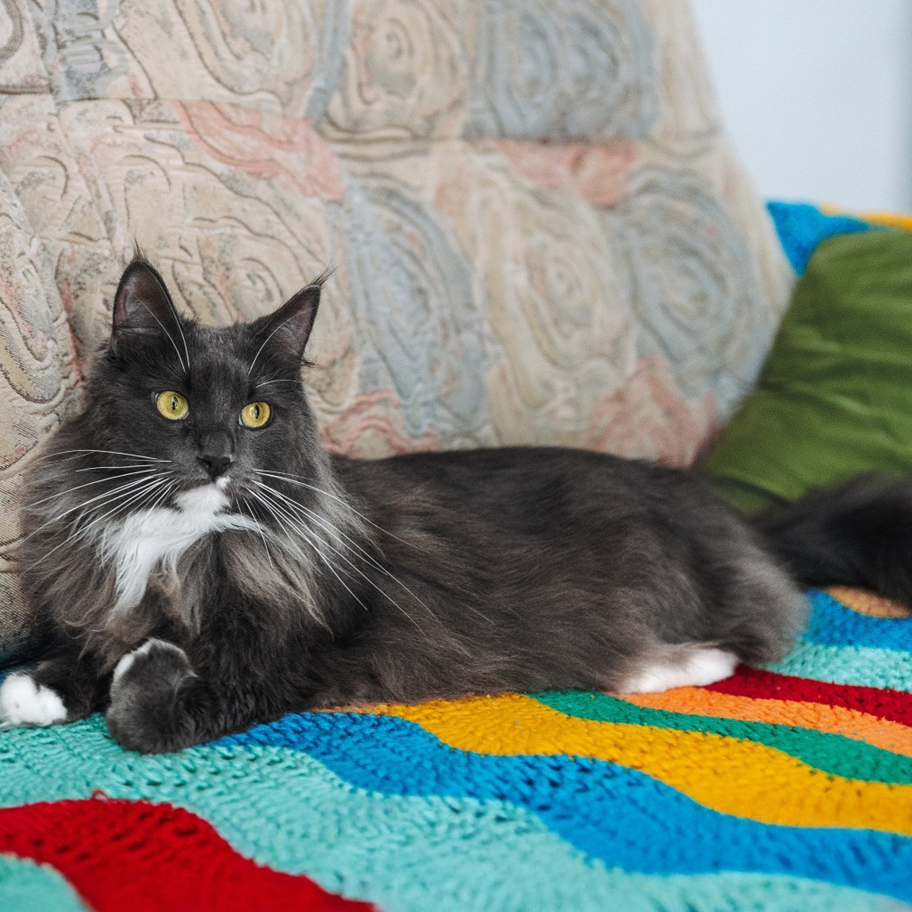 Отзывы. Фотограф Сочи-Краснодар