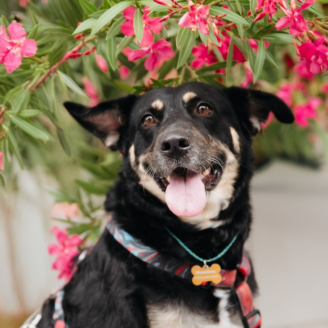 Отзывы. Фотограф Сочи-Краснодар