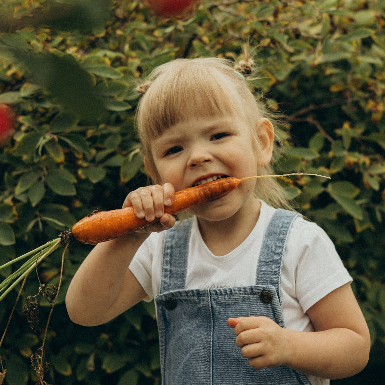 Отзывы. Фотограф в г. Чита