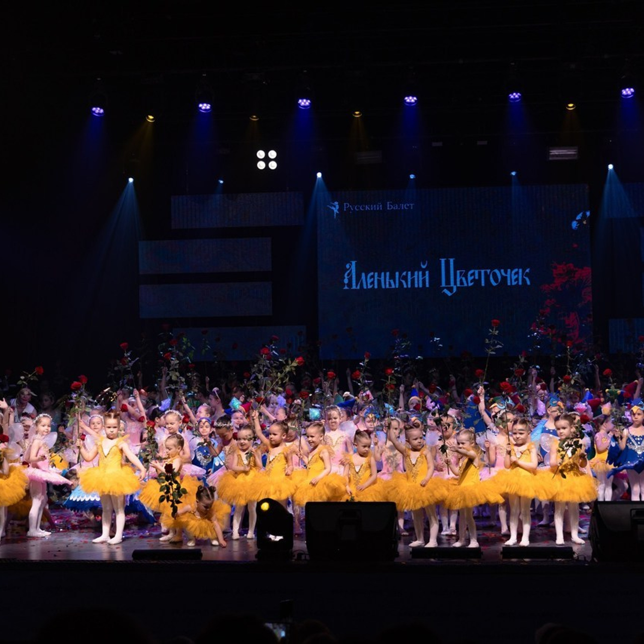 Отзывы. Семейный, свадебный фотограф в Чите Екатерина Мельникова