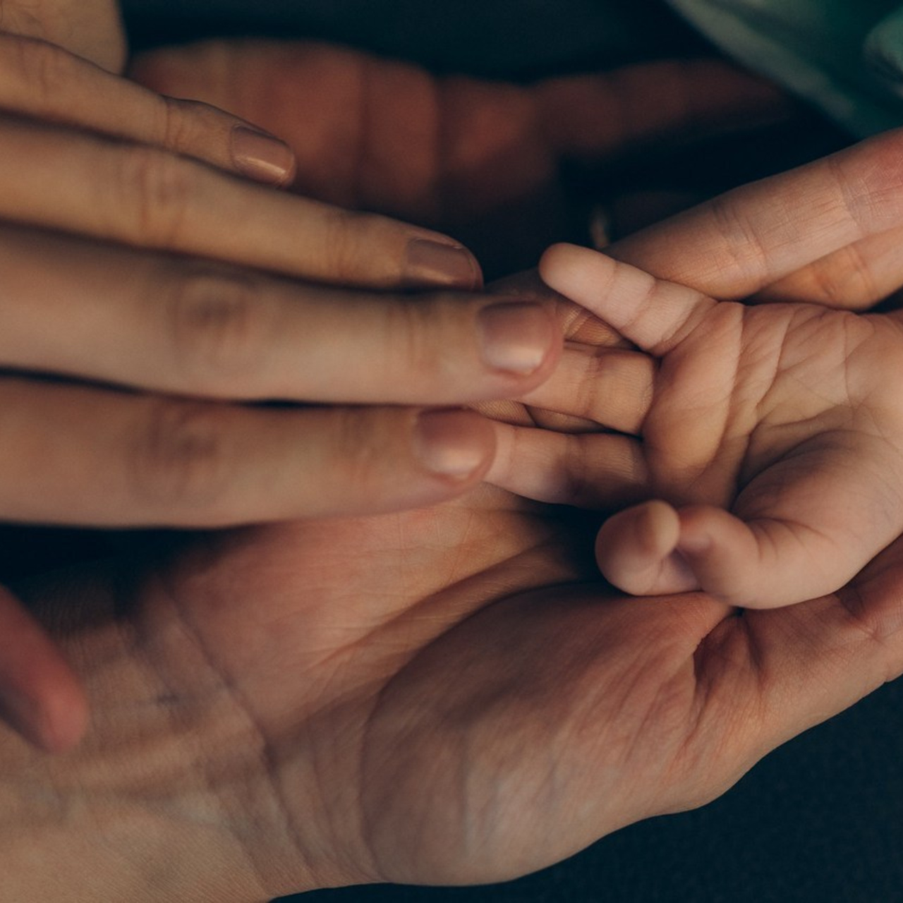 Отзывы. Семейный, свадебный фотограф в Чите Екатерина Мельникова