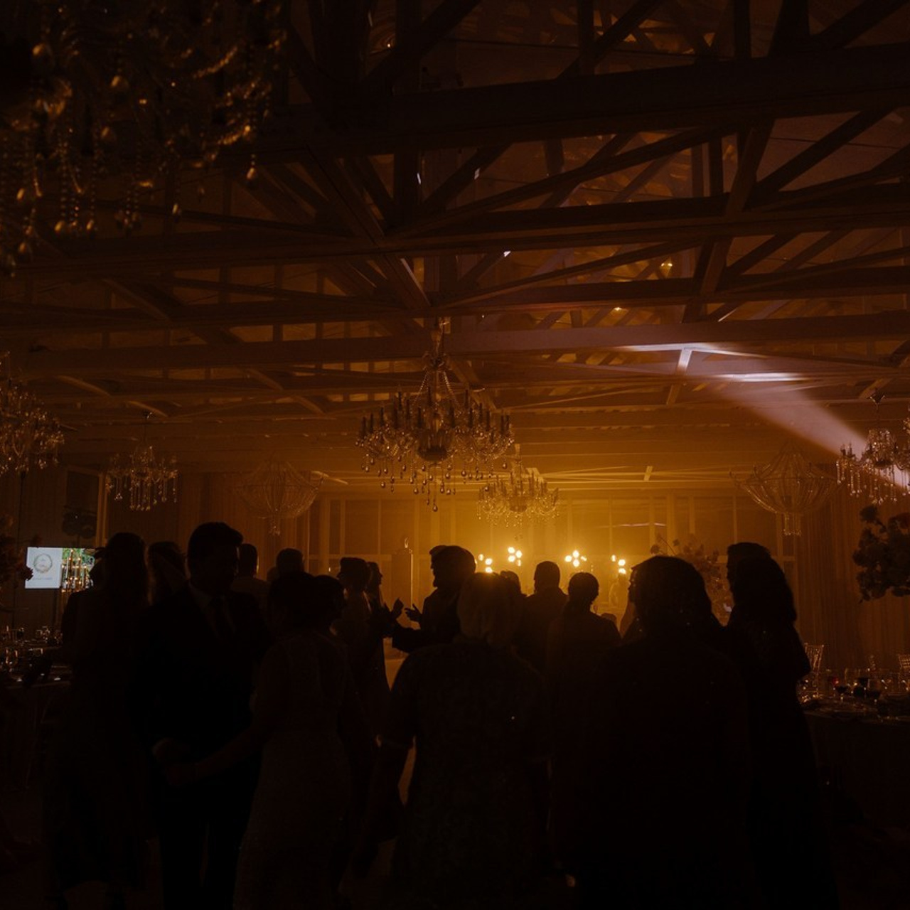 Отзывы. Портретный и свадебный фотограф в Москве Алина Гевал