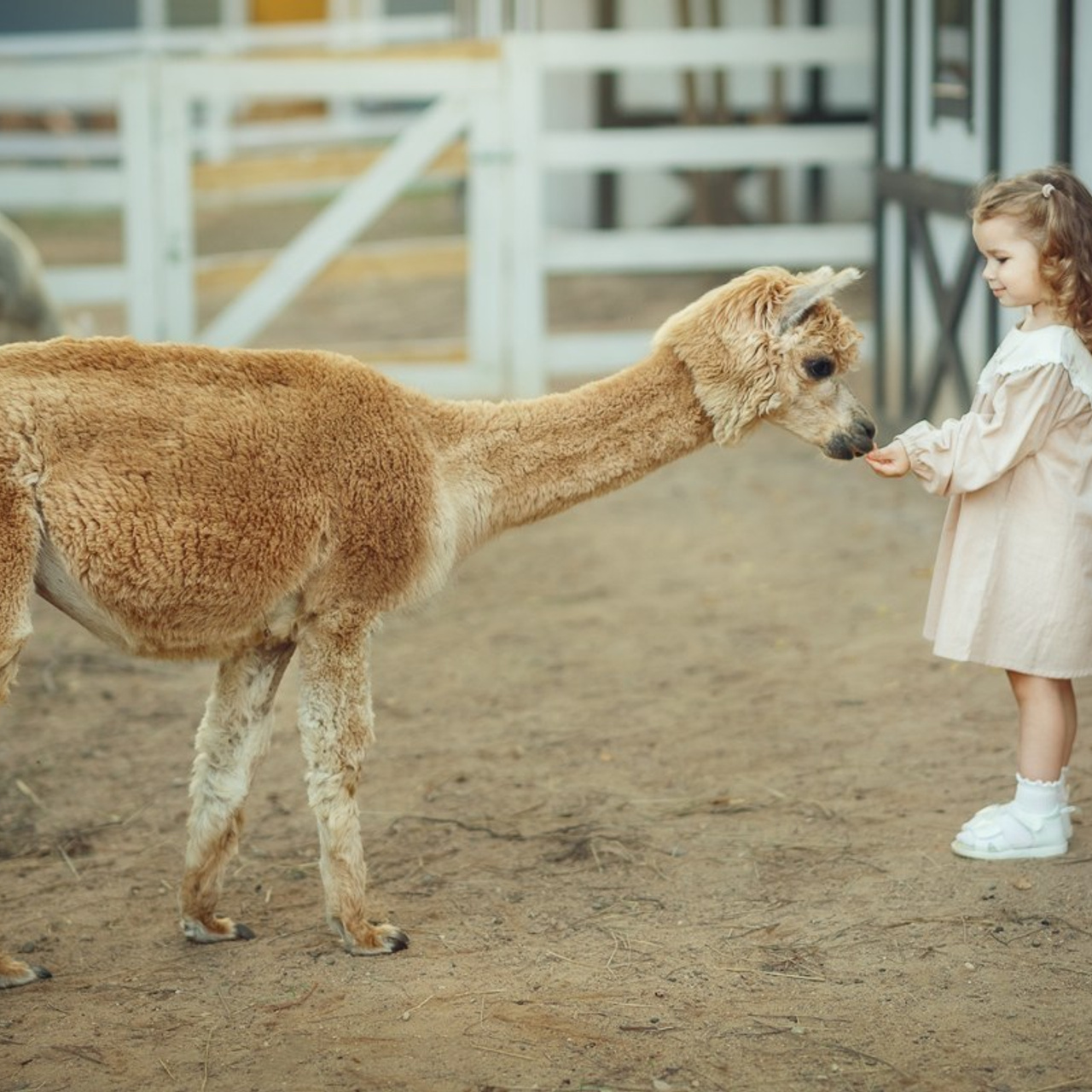 Отзывы. Фотограф Зоя Костюк | Детский и семейный фотограф Ярославль, Кострома,