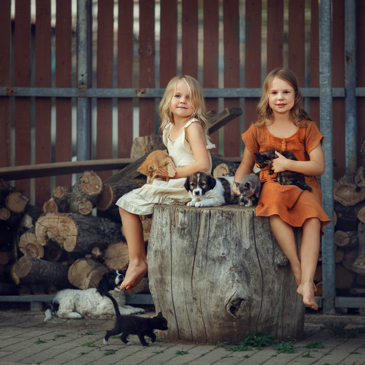 Отзывы. Фотограф Зоя Костюк | Детский и семейный фотограф Ярославль, Кострома,