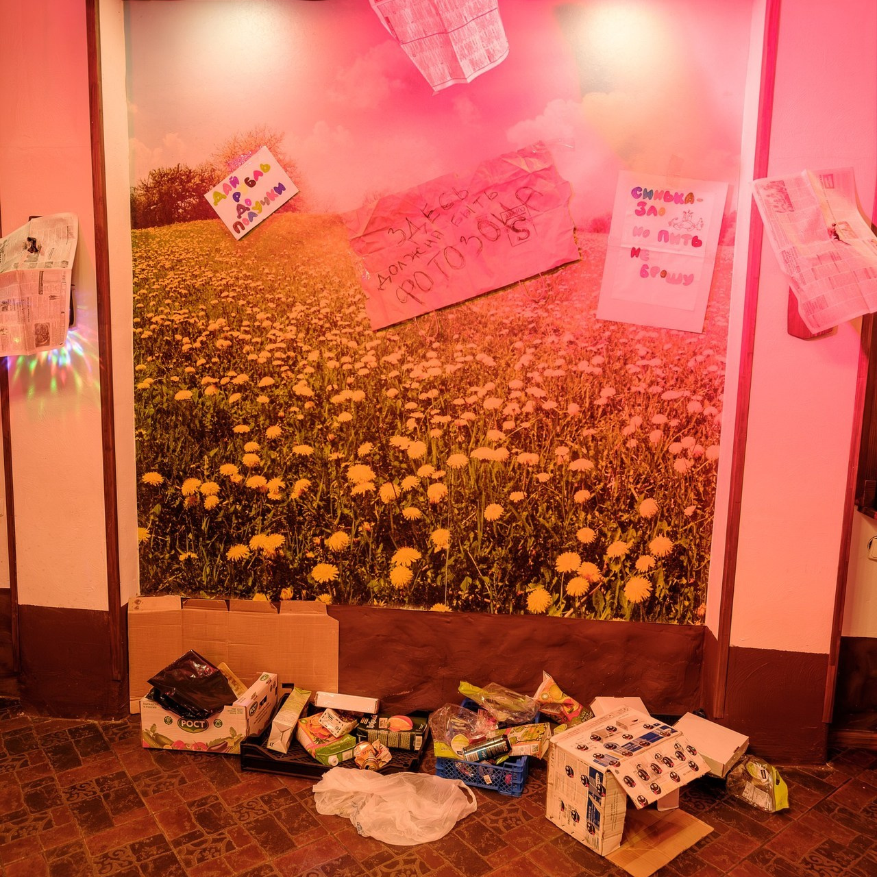 Свадебный фотограф Смоленск. Свадебный фотограф Смоленск