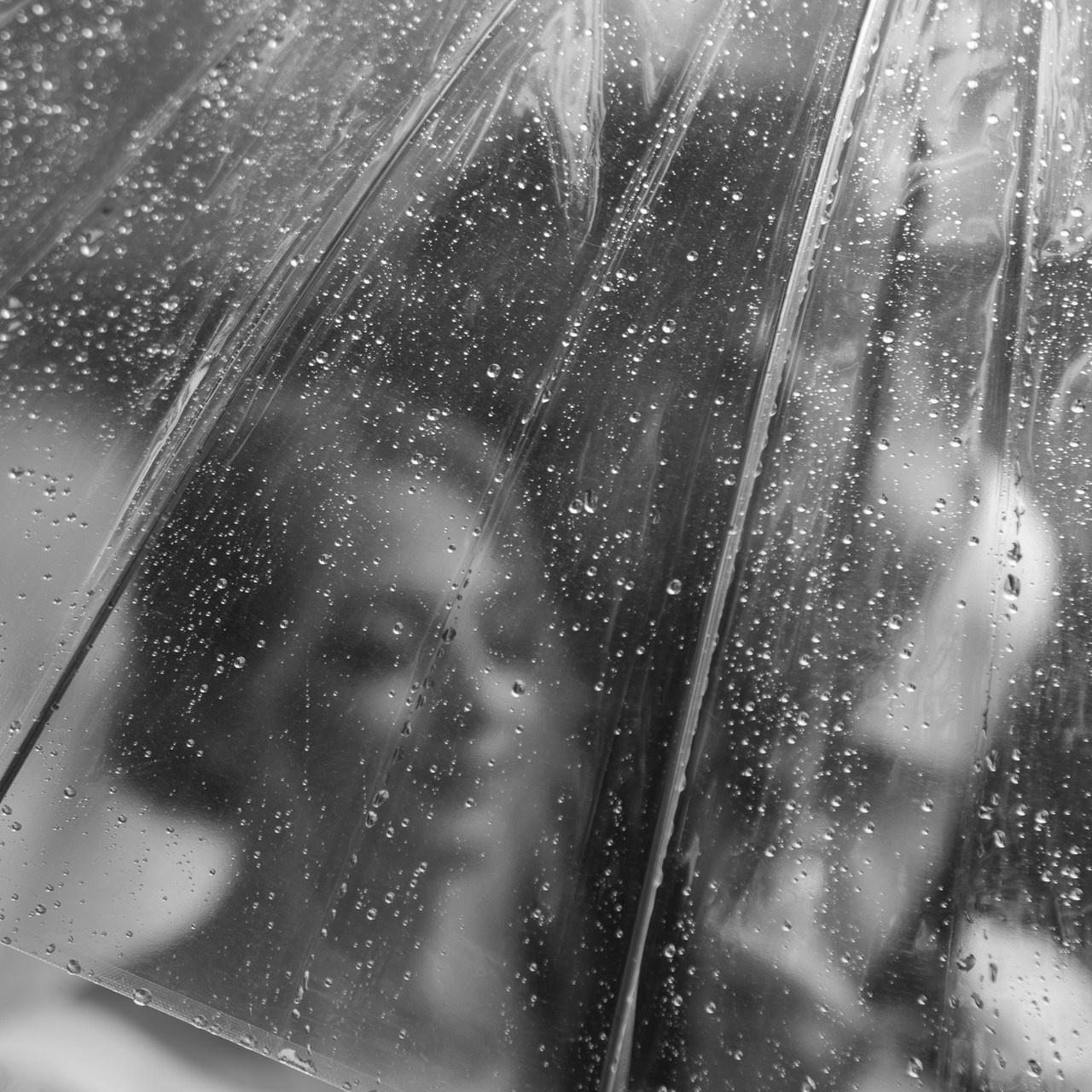 Свадебный фотограф Смоленск. Свадебный фотограф Смоленск