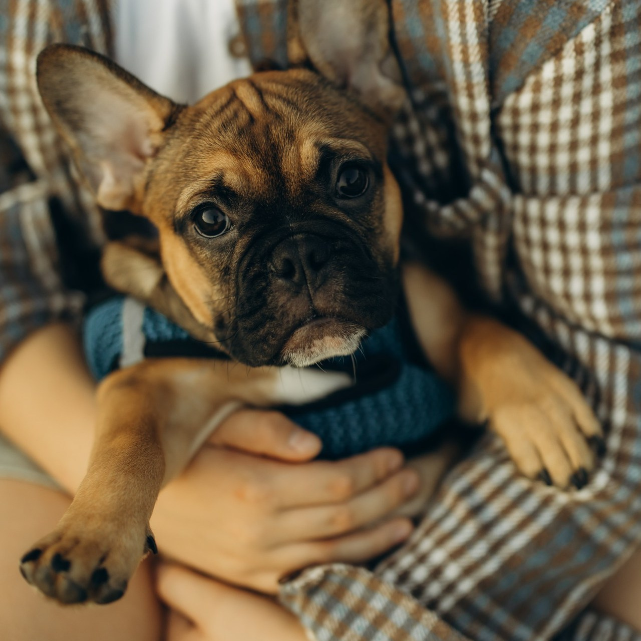 ОТЗЫВЫ. Семейный фотограф Оля Гладченко