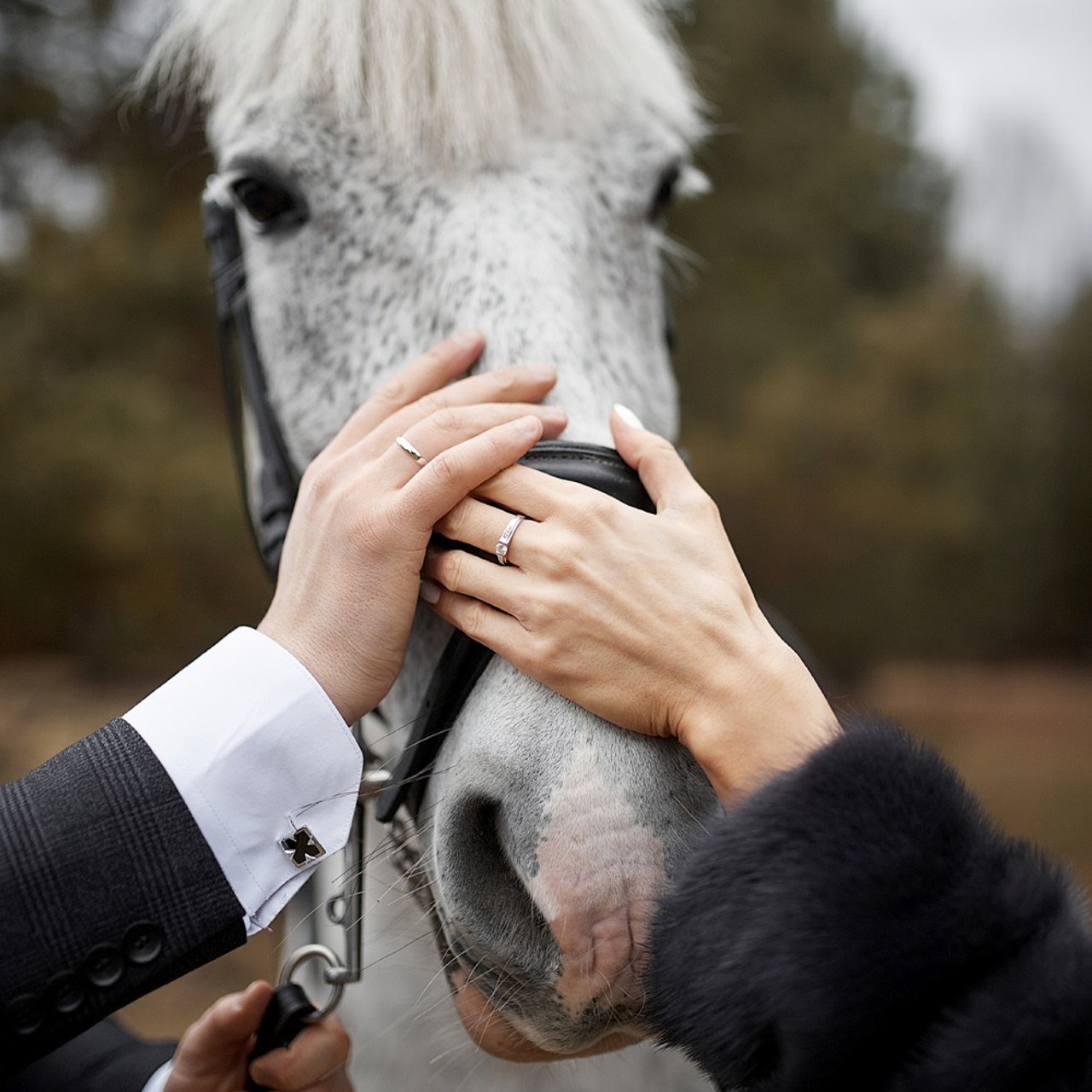 Екатерина и Константин