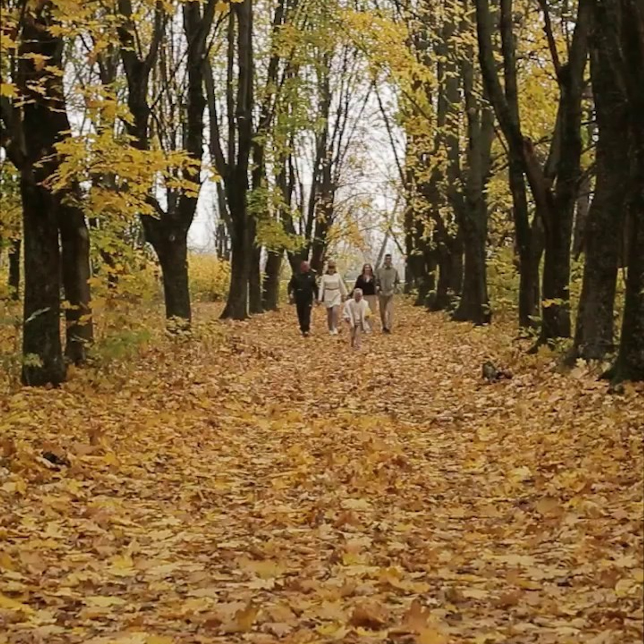 Истории. Детский и семейный фотограф и видеограф, Краснодар