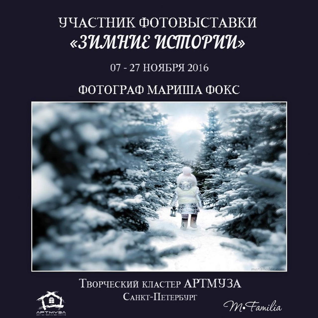 Фотовыставка «Зимние истории», АртМуза, 2016. Организация фотовыставок в Петербурге и Москве, MFamilia (МФамилия)