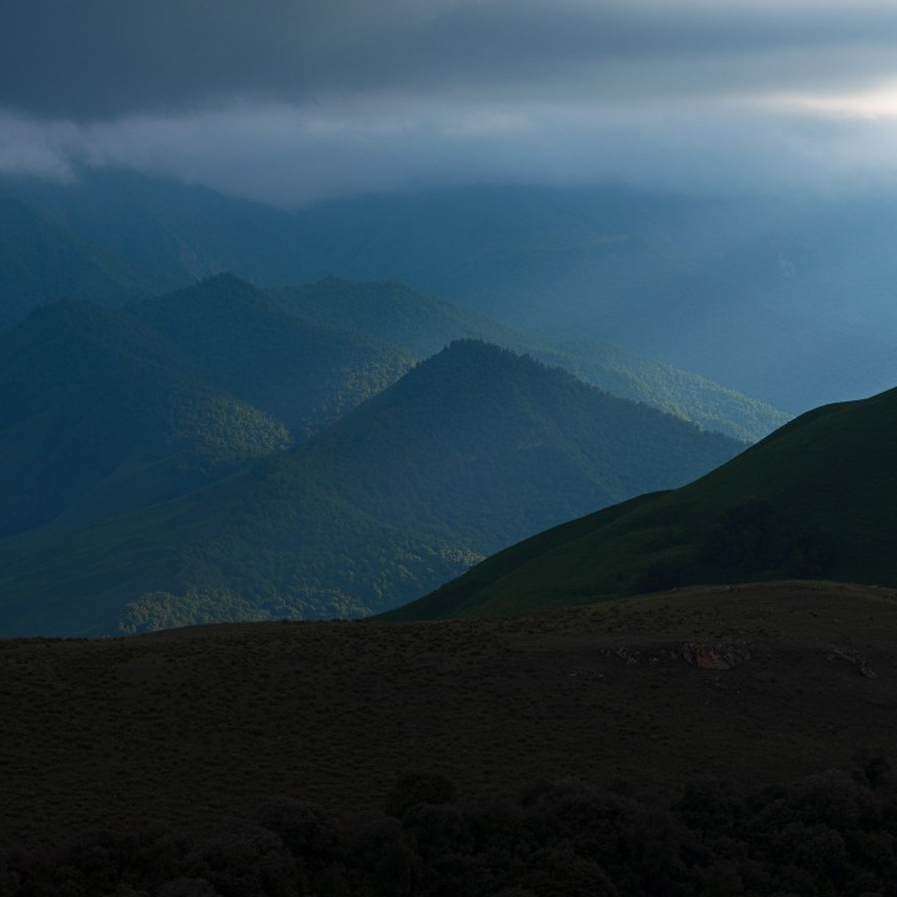 Отзывы. Фотограф в Волгограде — Денис Богомолов
