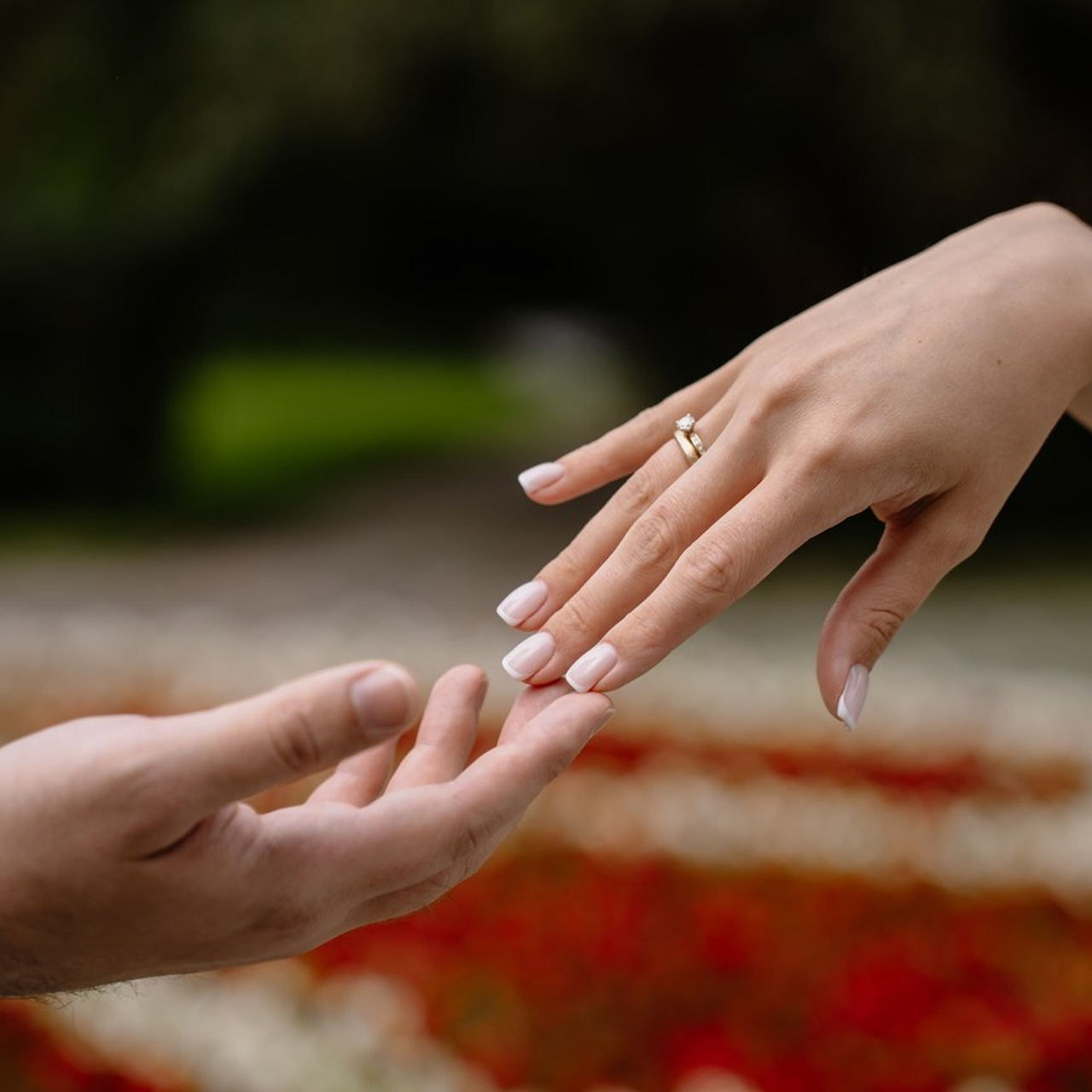 Отзывы клиентов фотографа Светланы Зоткиной. Свадебный и семейный фотограф в Москве Светлана Зоткина