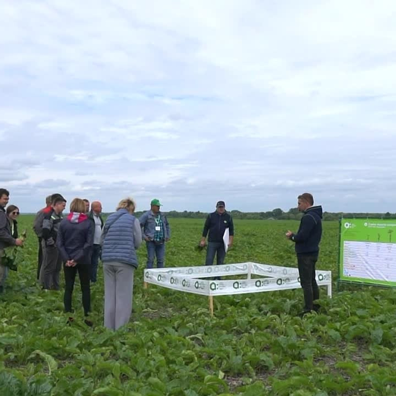 Презентационные ролики для предприятий, организаций, форумов, выставок.