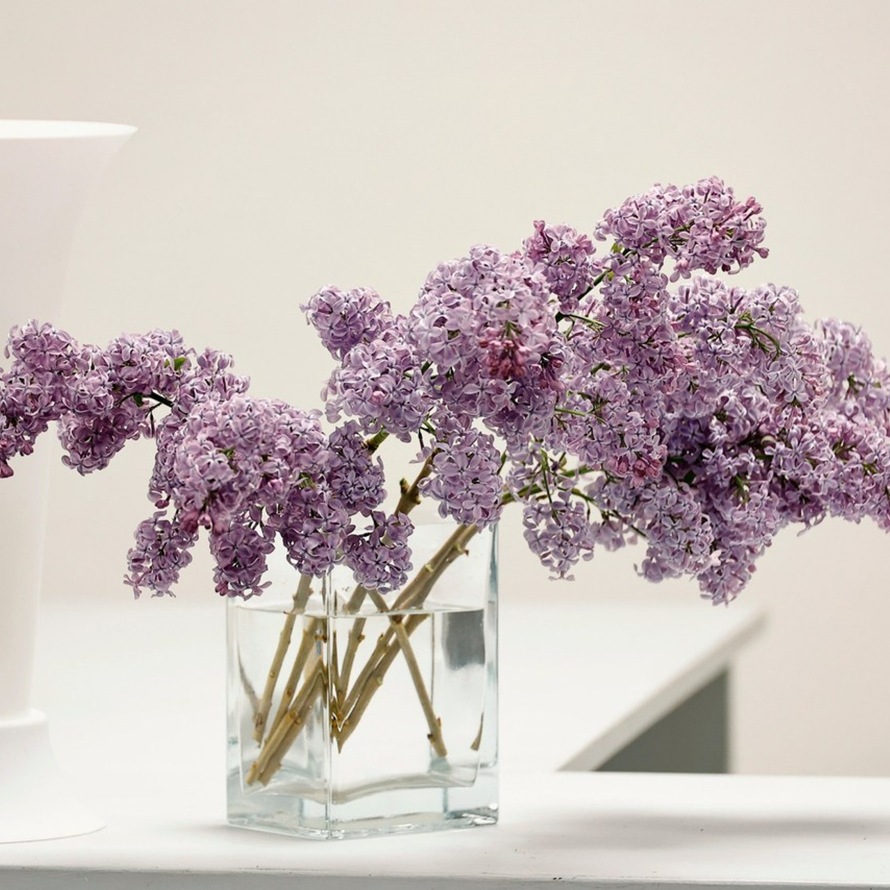 Отзывы. Репортажное и контент фото для бизнеса. Клим Мурашкин. Кемерово