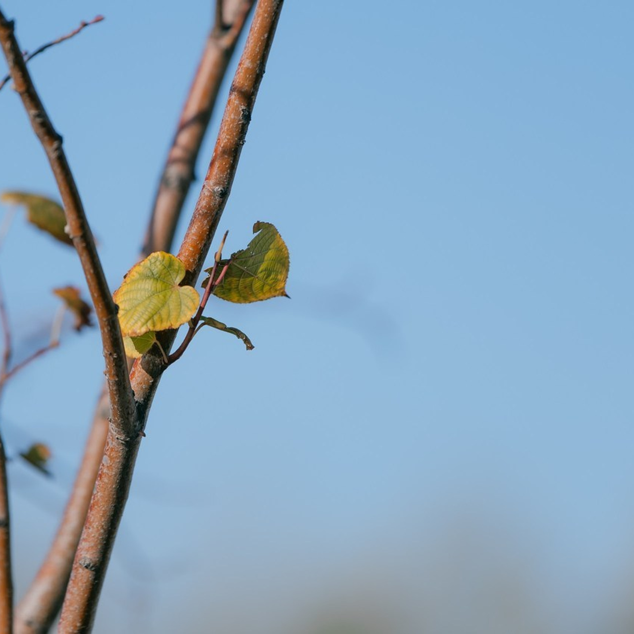 Отзывы. Фотограф в Ростов-на-Дону Виктория Савчук