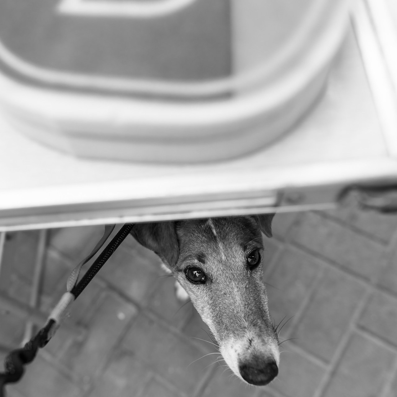 Отзывы. Фотограф в Ростов-на-Дону Виктория Савчук