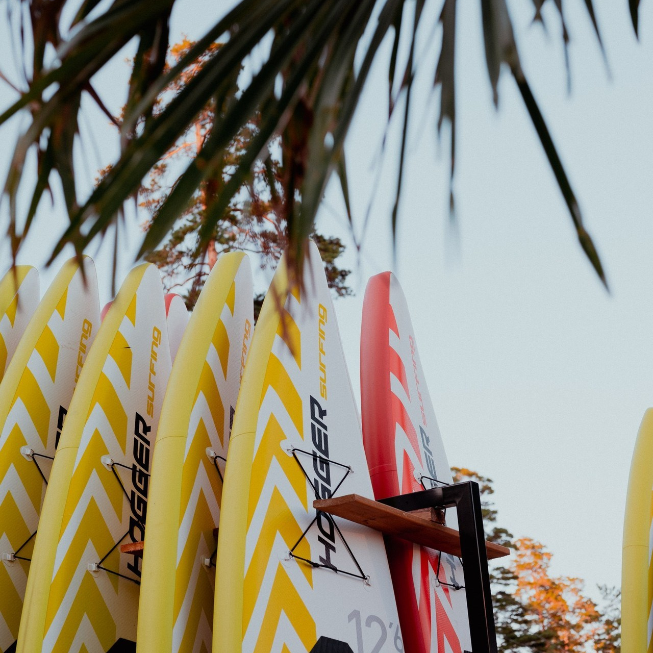 Отзывы. ТАТИ | Татьяна Тихонова | фотограф | Тольятти Самара