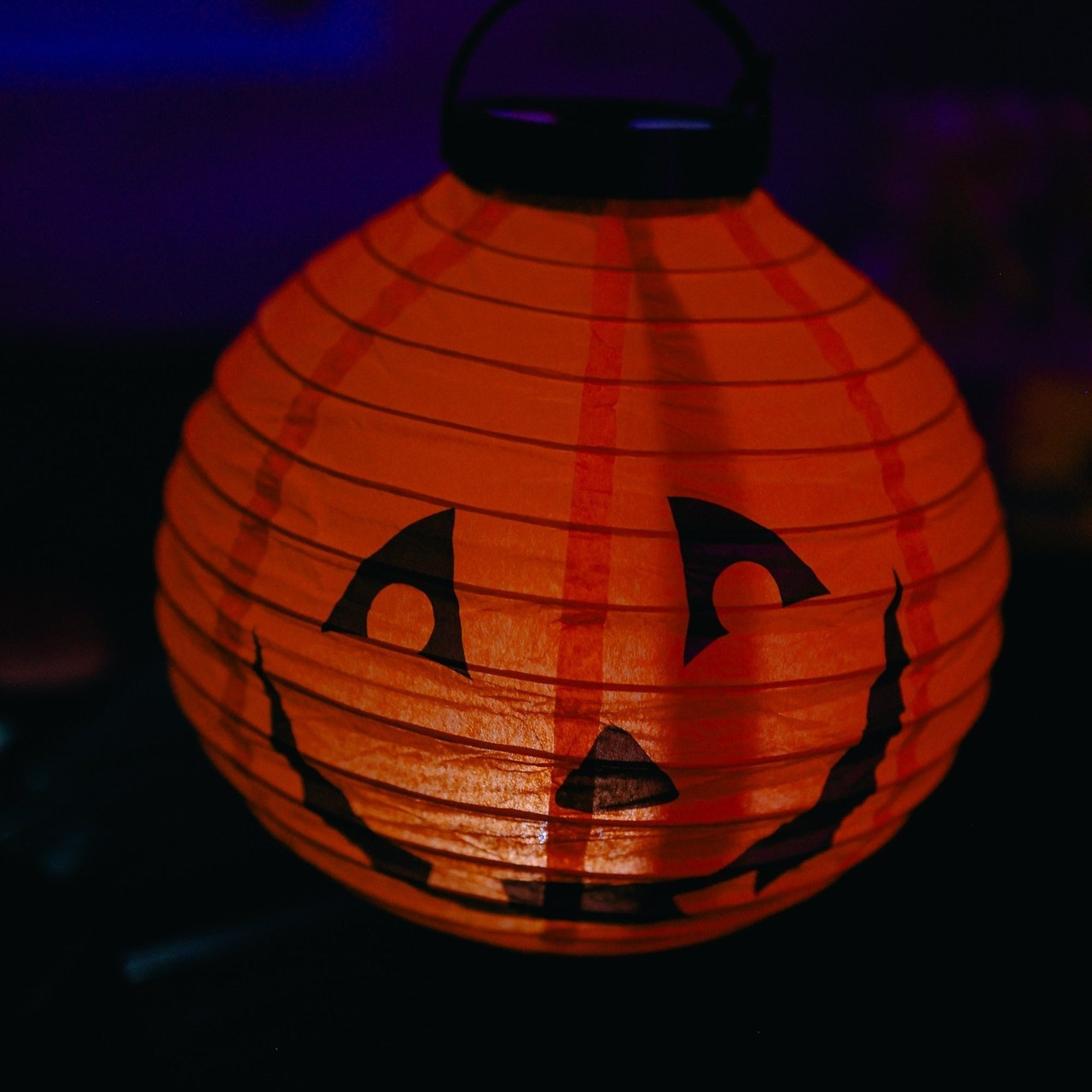 Отзывы. ФОТОГРАФ КАМЧАТКА ИРИНА БЕЛОКРЫЛОВА