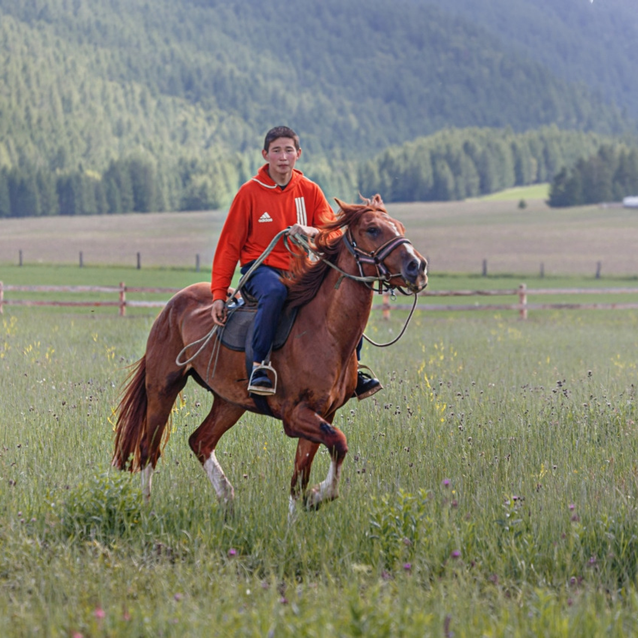Отзывы. Фотограф для хороших людей в Юрге, Томске, Кемерово, Республике Алтай
