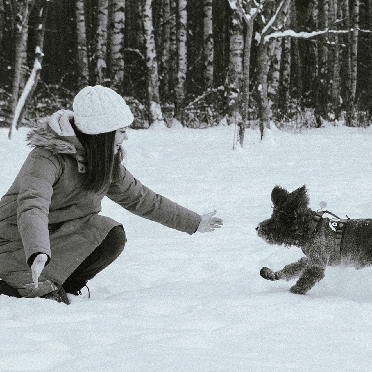 Отзывы. Кошенкова Мария: портретный и репортажный фотограф. Санкт-Петербург