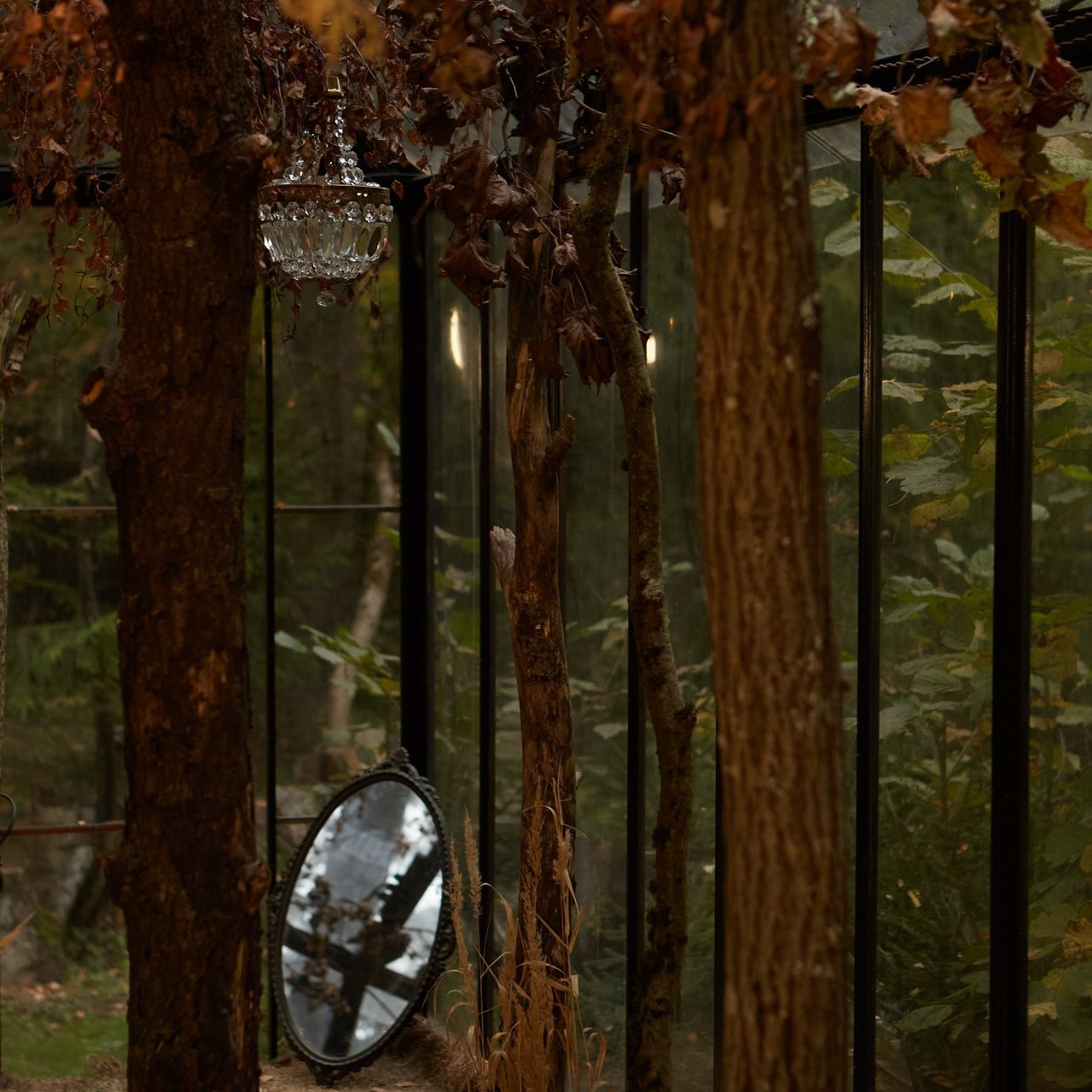 Отзывы. Фотограф. Love story, портрет, индивидуальные съемки. Фудфотограф