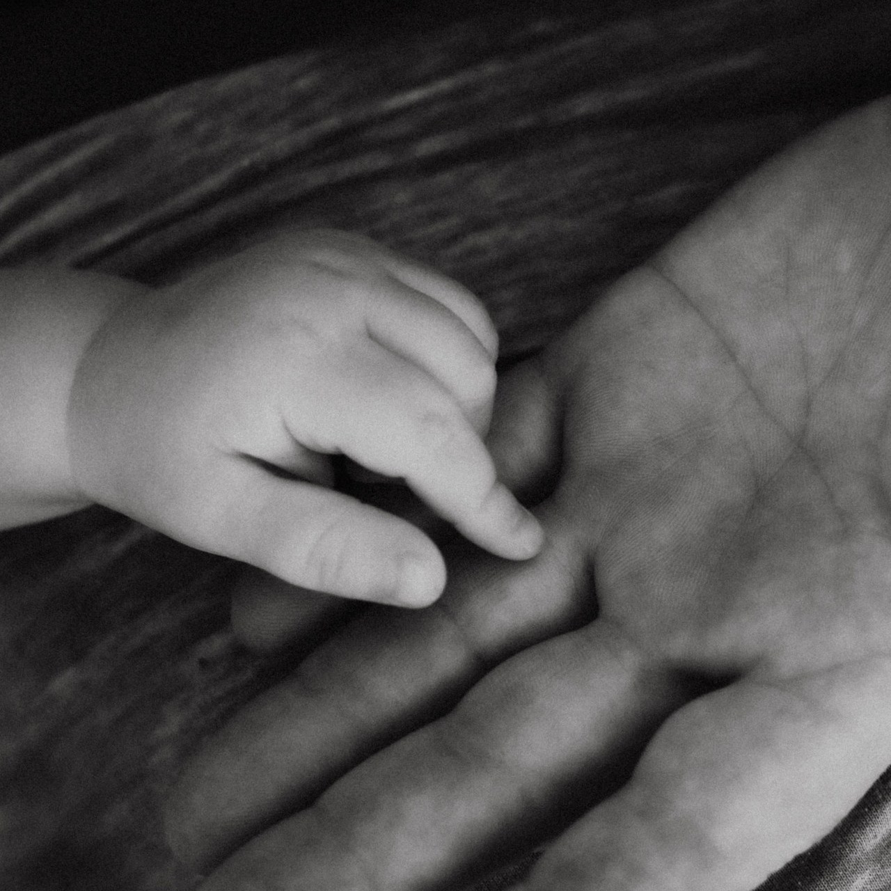 О Т З Ы В Ы. Фотограф в Нижнем Новгороде