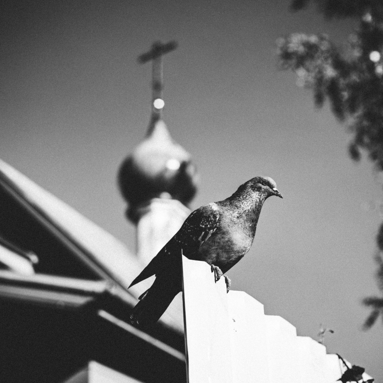 О Т З Ы В Ы. Фотограф в Нижнем Новгороде