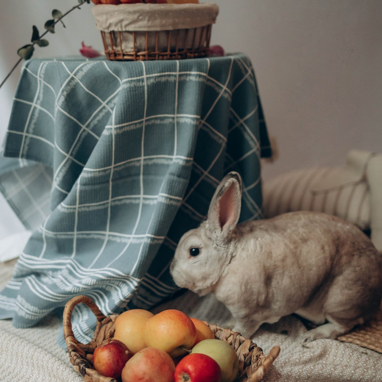 Отзывы. Семейный фотограф Москва Калининград СПб